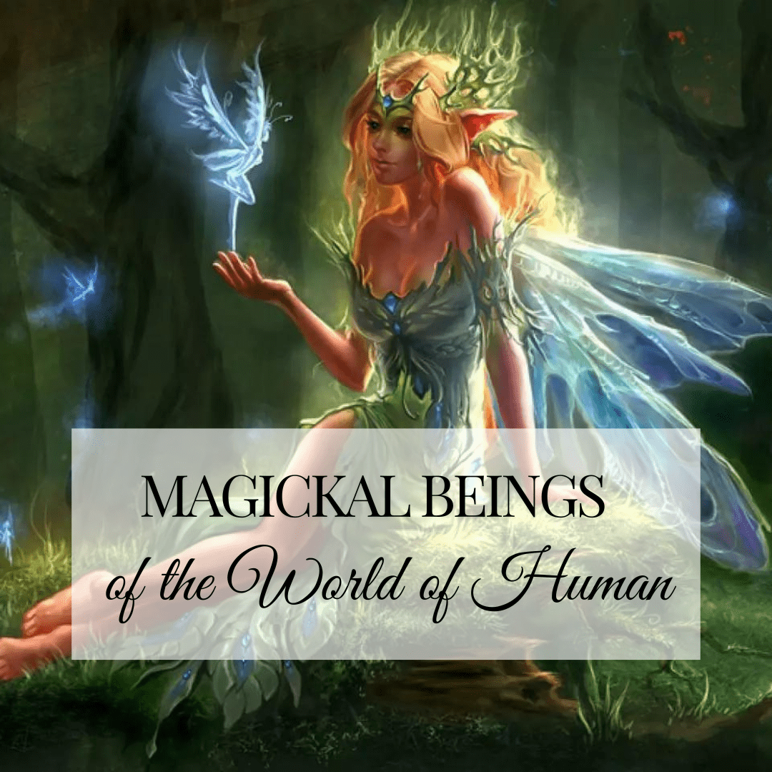 A glowing fairy in a forest with magical light effects.