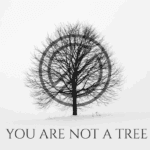 Screenshot 2026-02-23 at 12.47.22