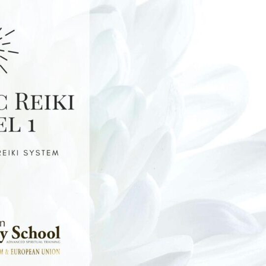 WhatsApp Image 2026-02-05 at 13.43.43