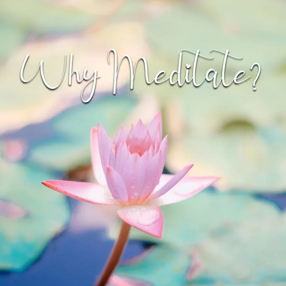 why meditate